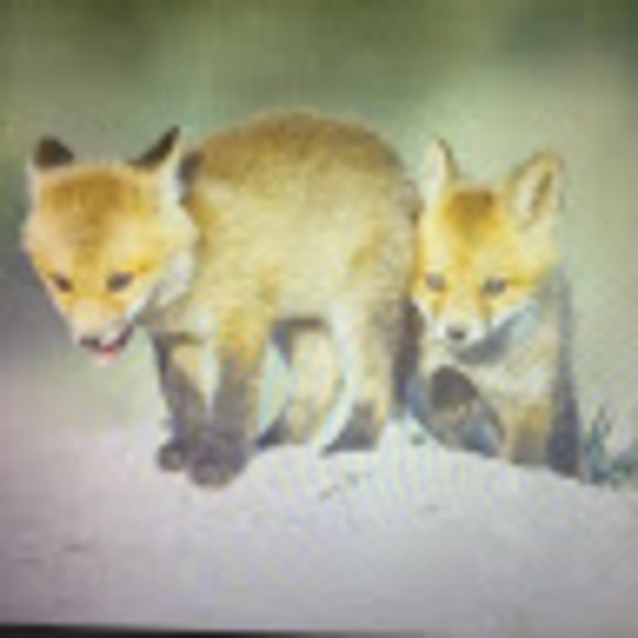 Meet your Posher, Keltie work - Picture 1 of 1